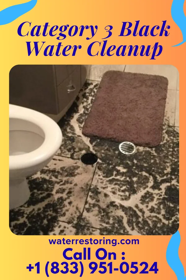 Category 3 Black Water Cleanup in Silver Creek, MS